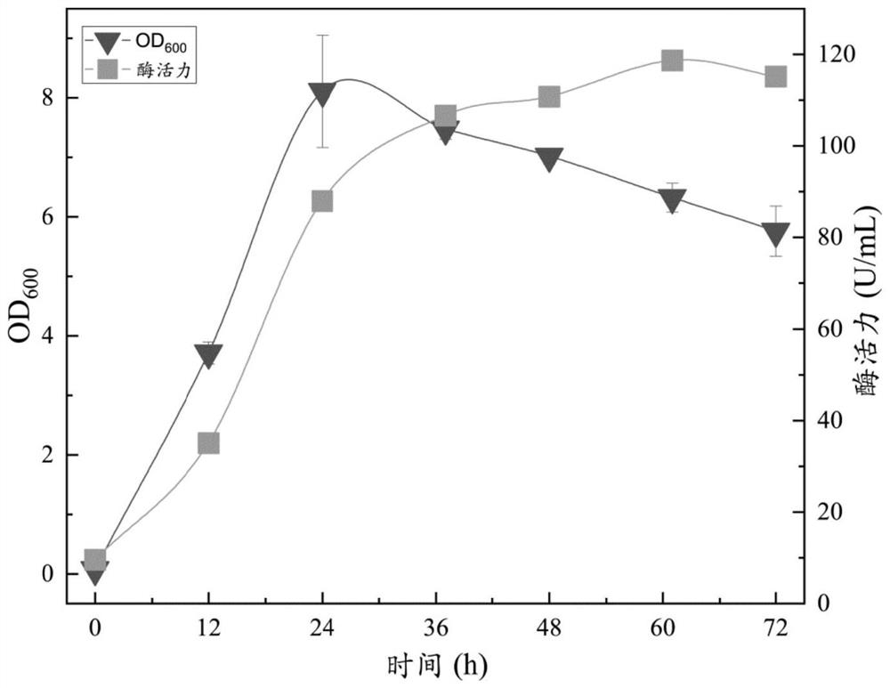 Screening and application of bacillus strain for producing cellulase