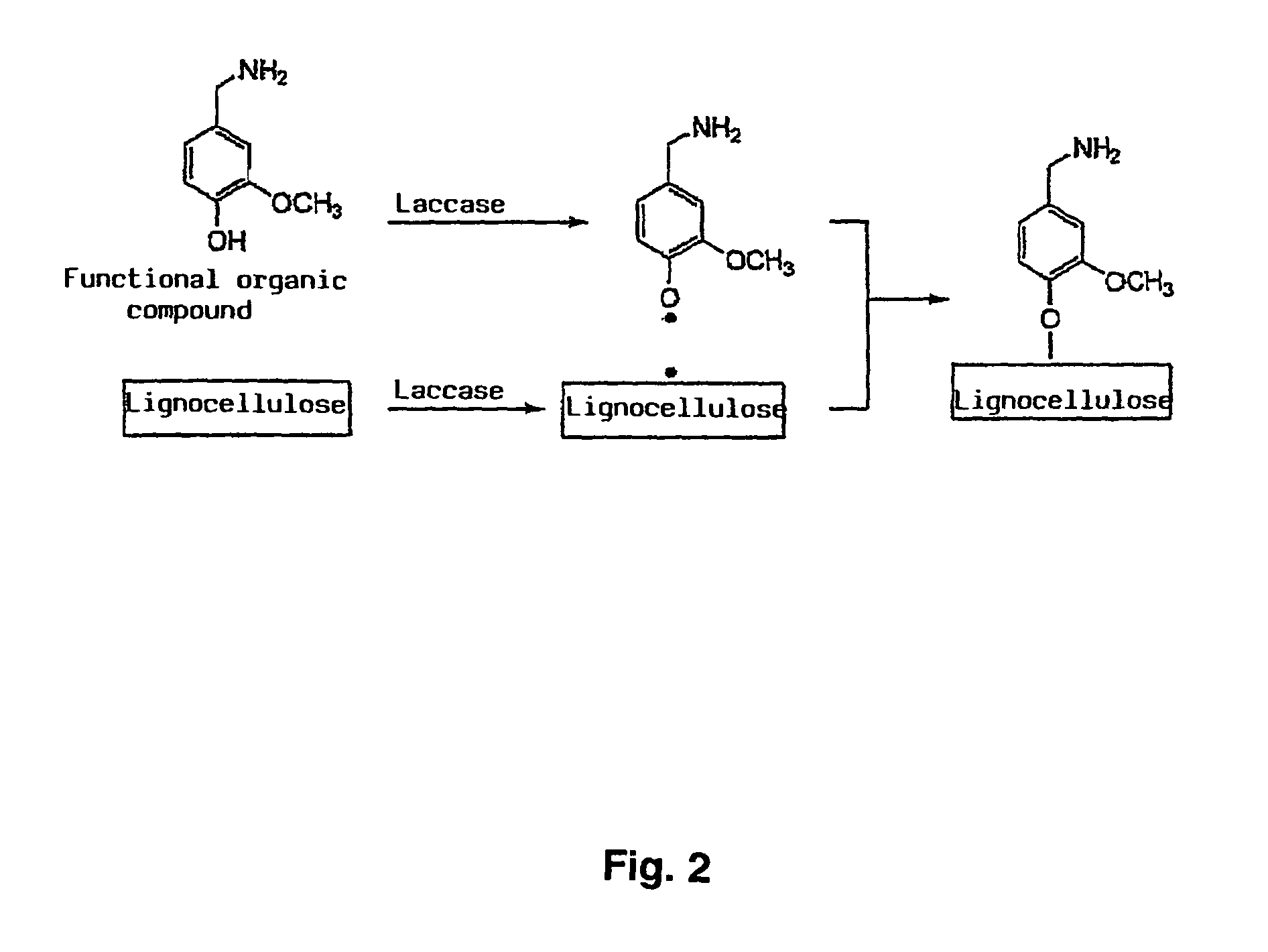 Method for the production of lignocellulose-based products