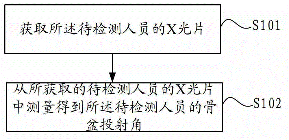 Vertebral column digital reconstruction method and system