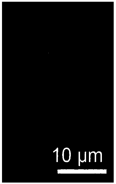 Fluorosilicone resin based on click chemistry and preparation method of self-repairing superhydrophobic coating