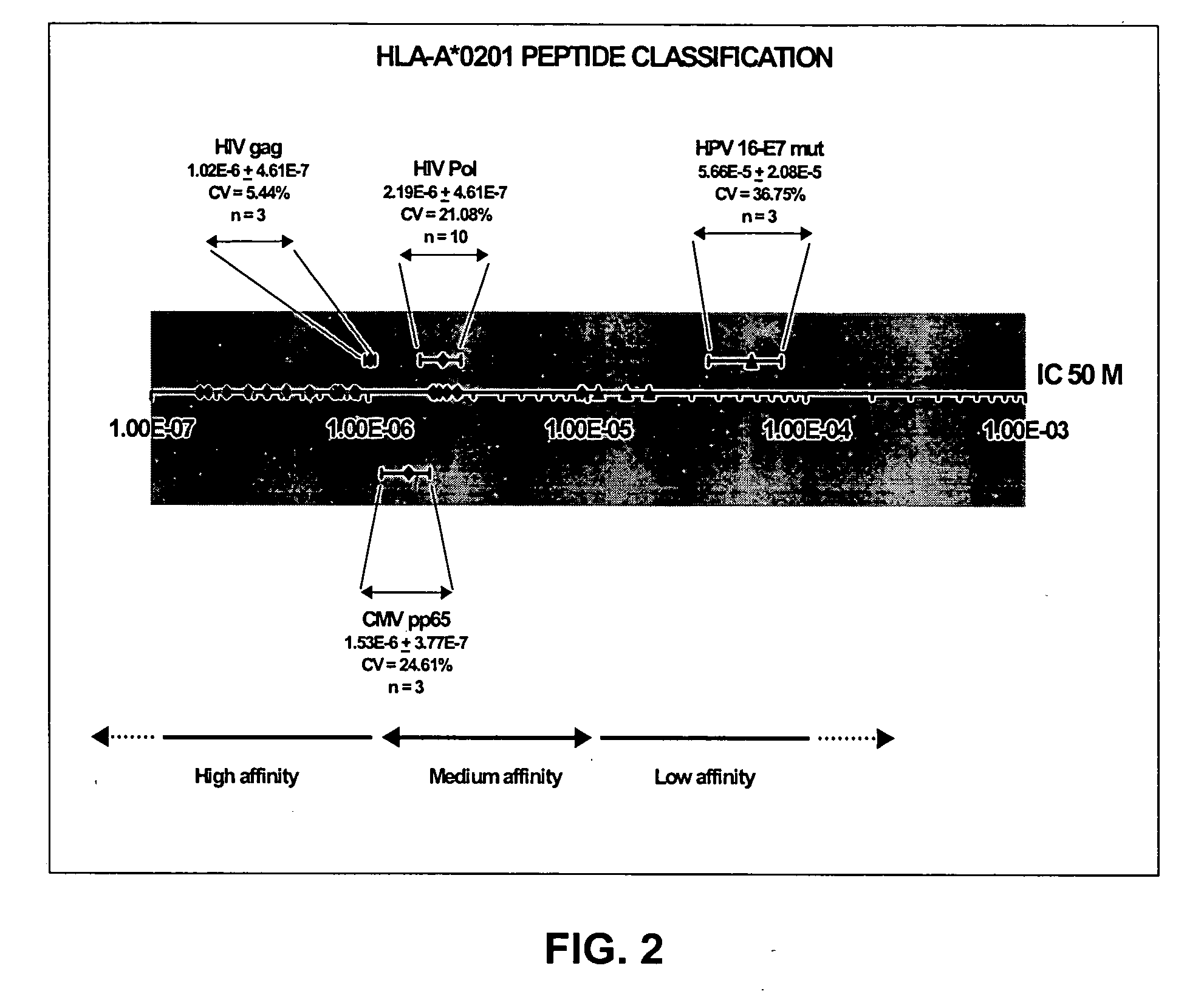 Solution-based methods for detecting MHC-binding peptides