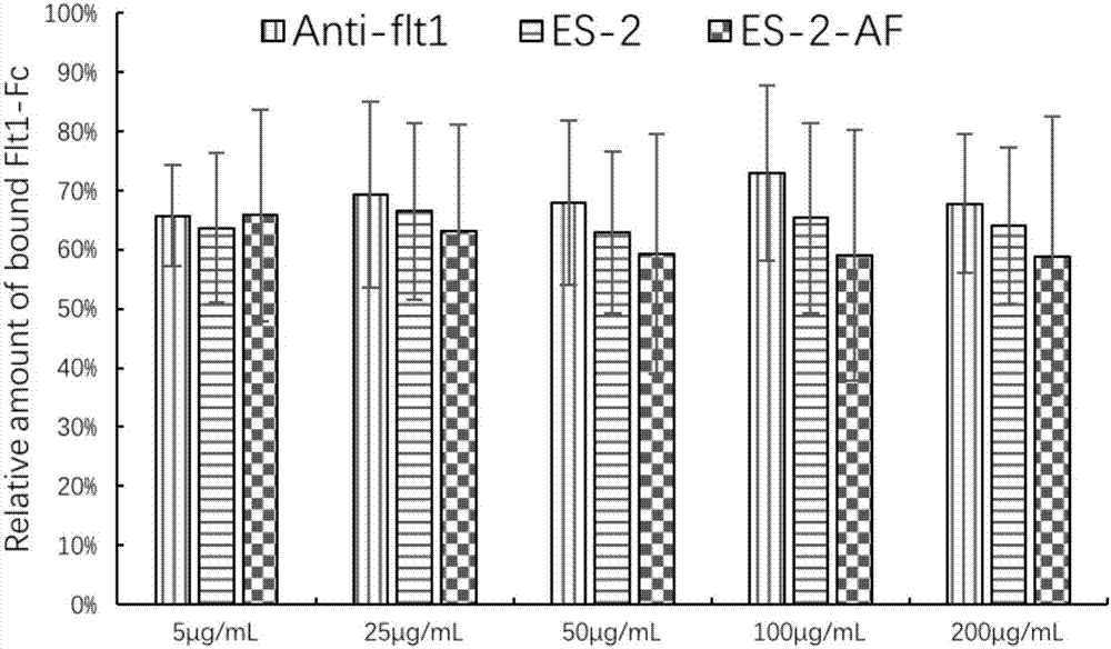 Angiogenesis inhibiting peptide, hyaluronic acid modified compound thereof and preparation method and application of hyaluronic acid modified compound