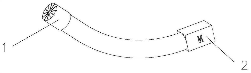 Ultrasonic sensor with endoscopy integrated