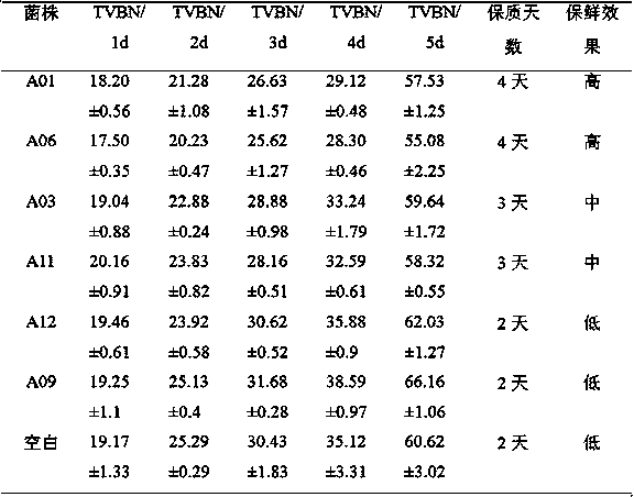 Rapid screening method of bacillus subtilis fresh-keeping strain