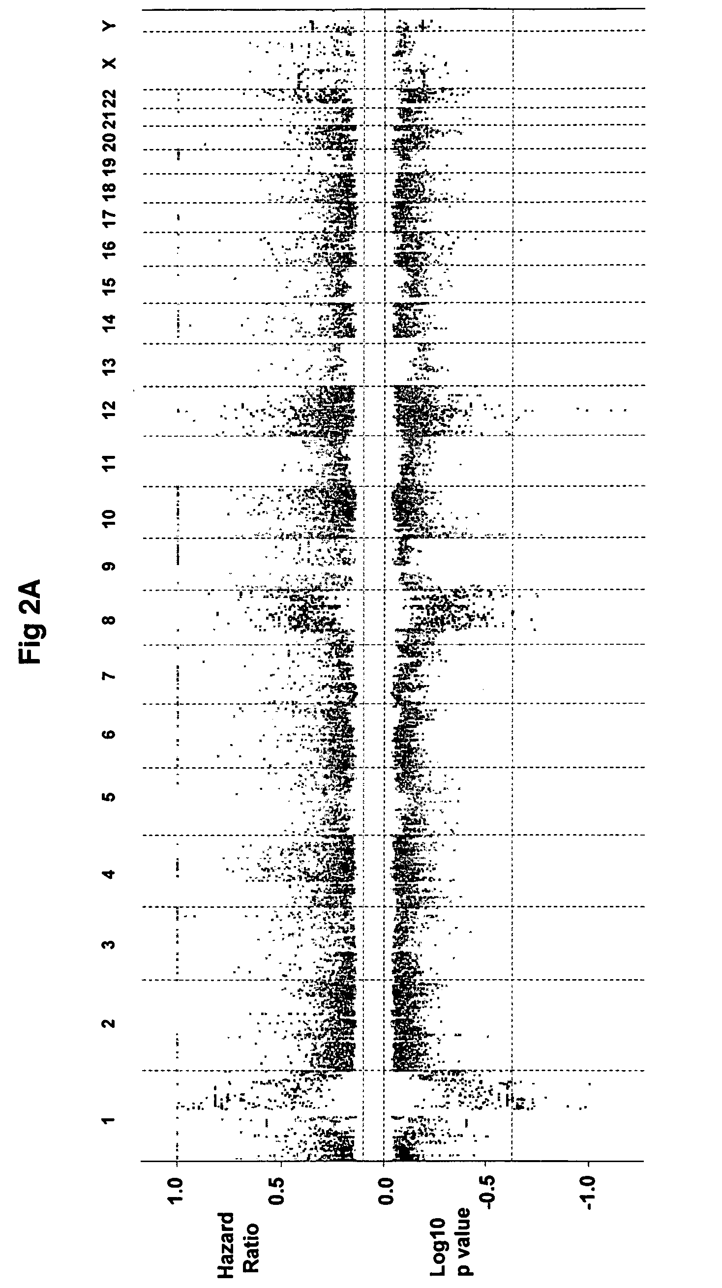 Gene expression profiling based identification of genomic signature of high-risk multiple myeloma and uses thereof