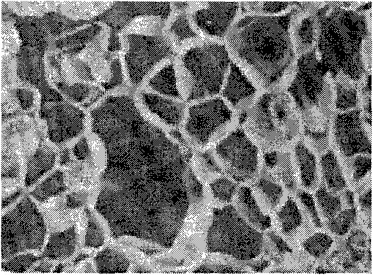 Single-component inorganic heat-insulating mortar and preparation method thereof