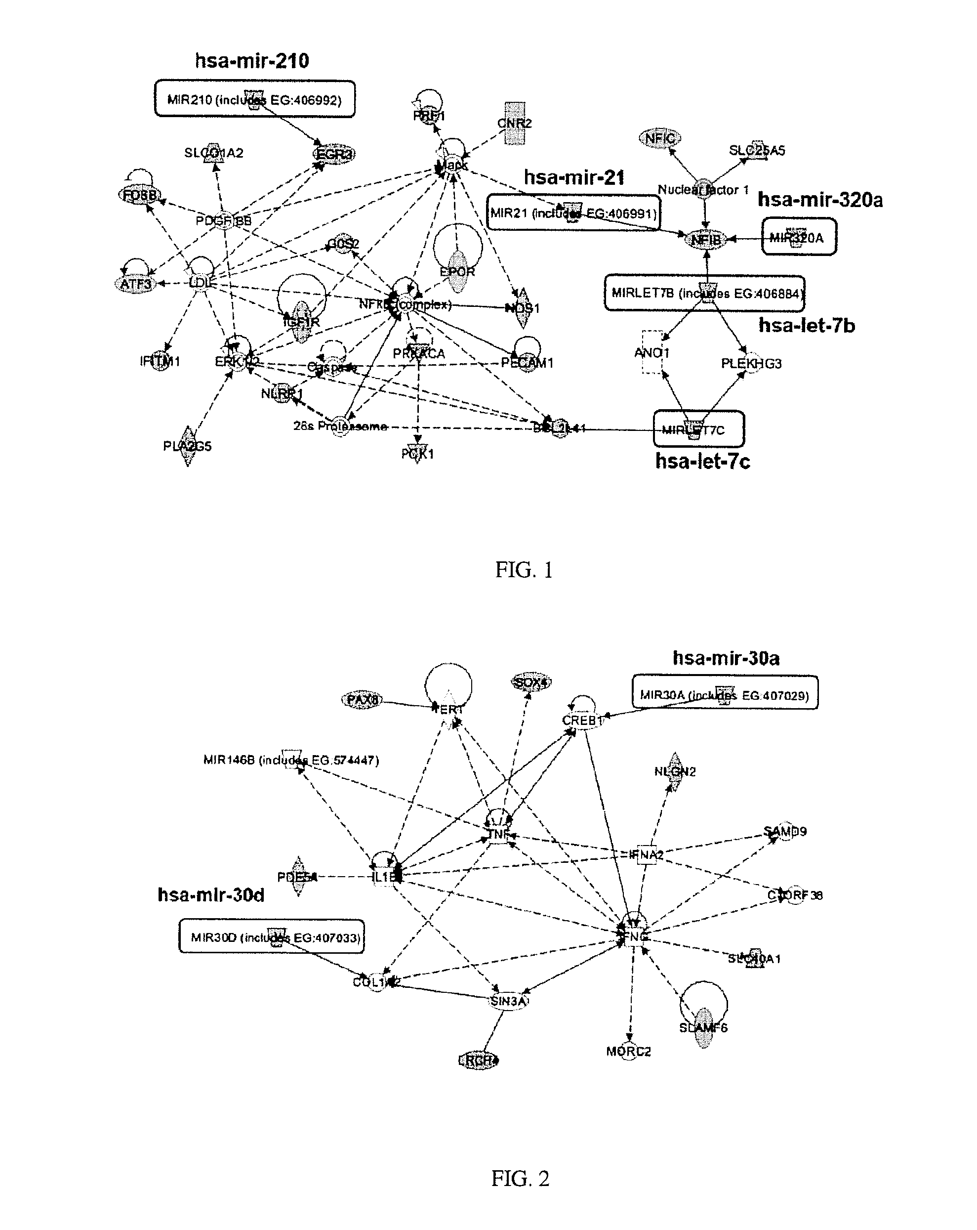 Methods for selecting competent oocytes and competent embryos with high potential for pregnancy outcome