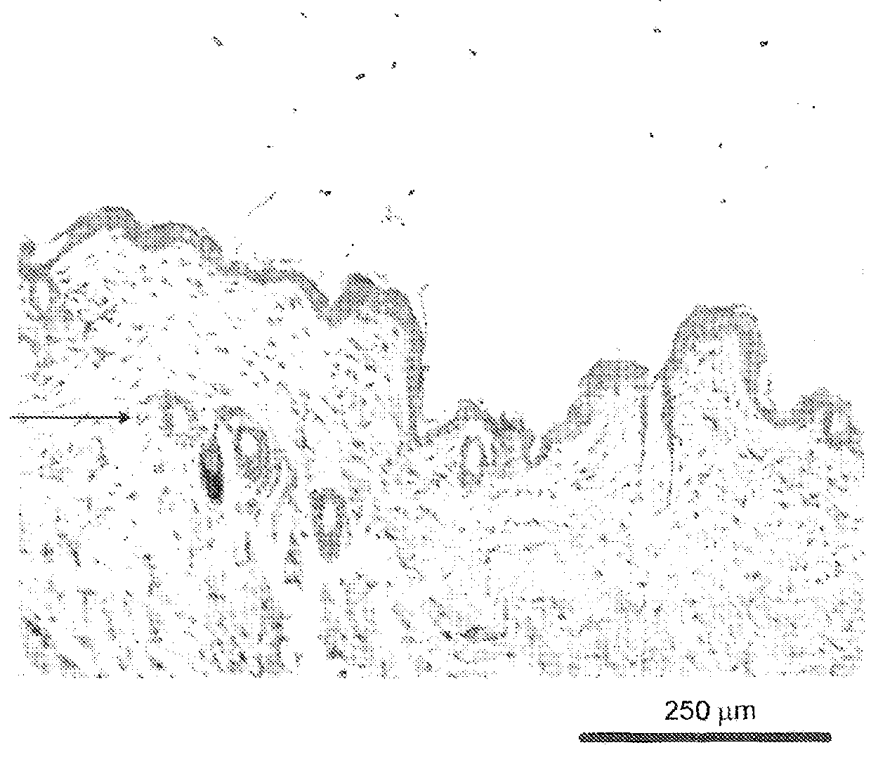 Compositions and uses thereof