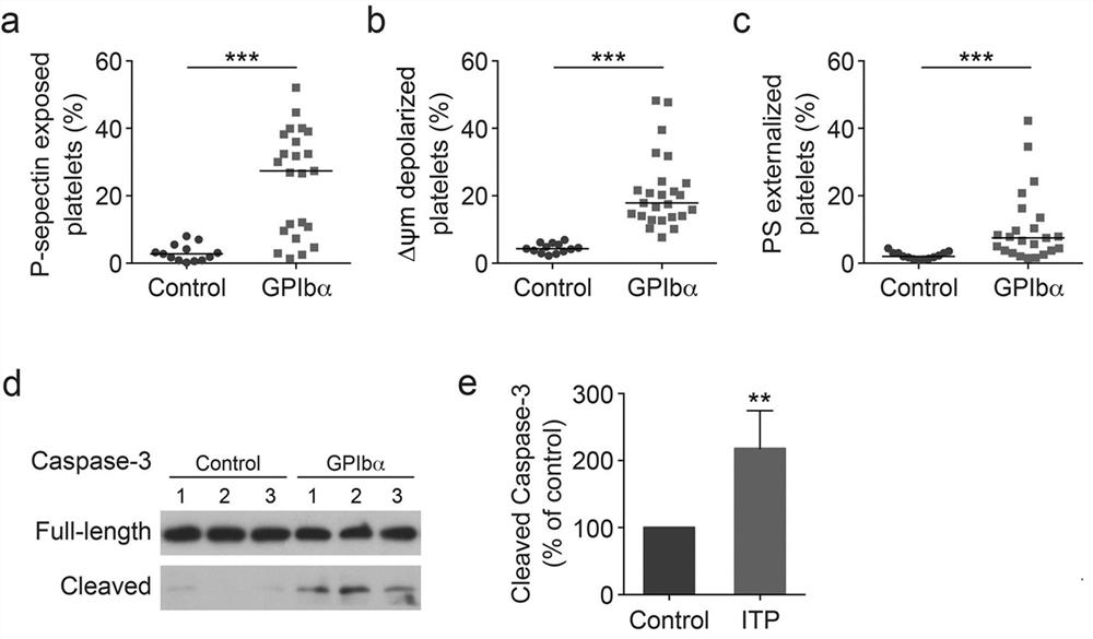 Use of pi3k inhibitors in the preparation of medicines for treating diseases related to thrombocytopenia