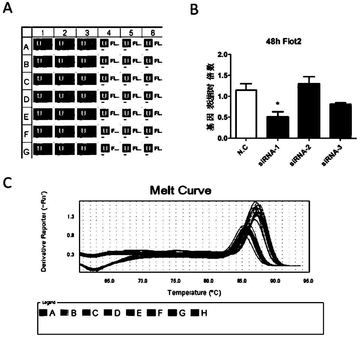 Application of Flot2 inhibitor to inhibition of osteoclast formation and/or osteoclastic activity