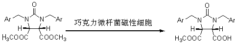 Chocolate microbacterium magnetic cell as well as preparation method and application thereof