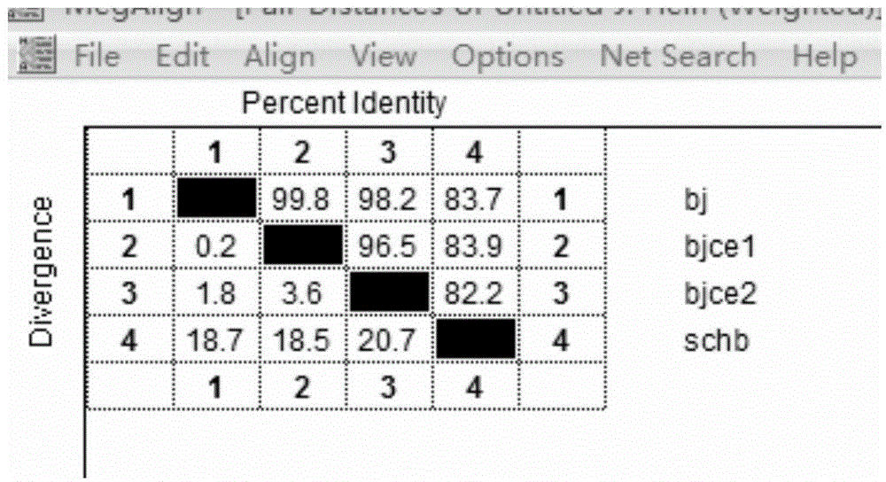 DNA barcoding standard detection sequence for acrossocheilus beijiangensis and applications of DNA barcoding standard detection sequence