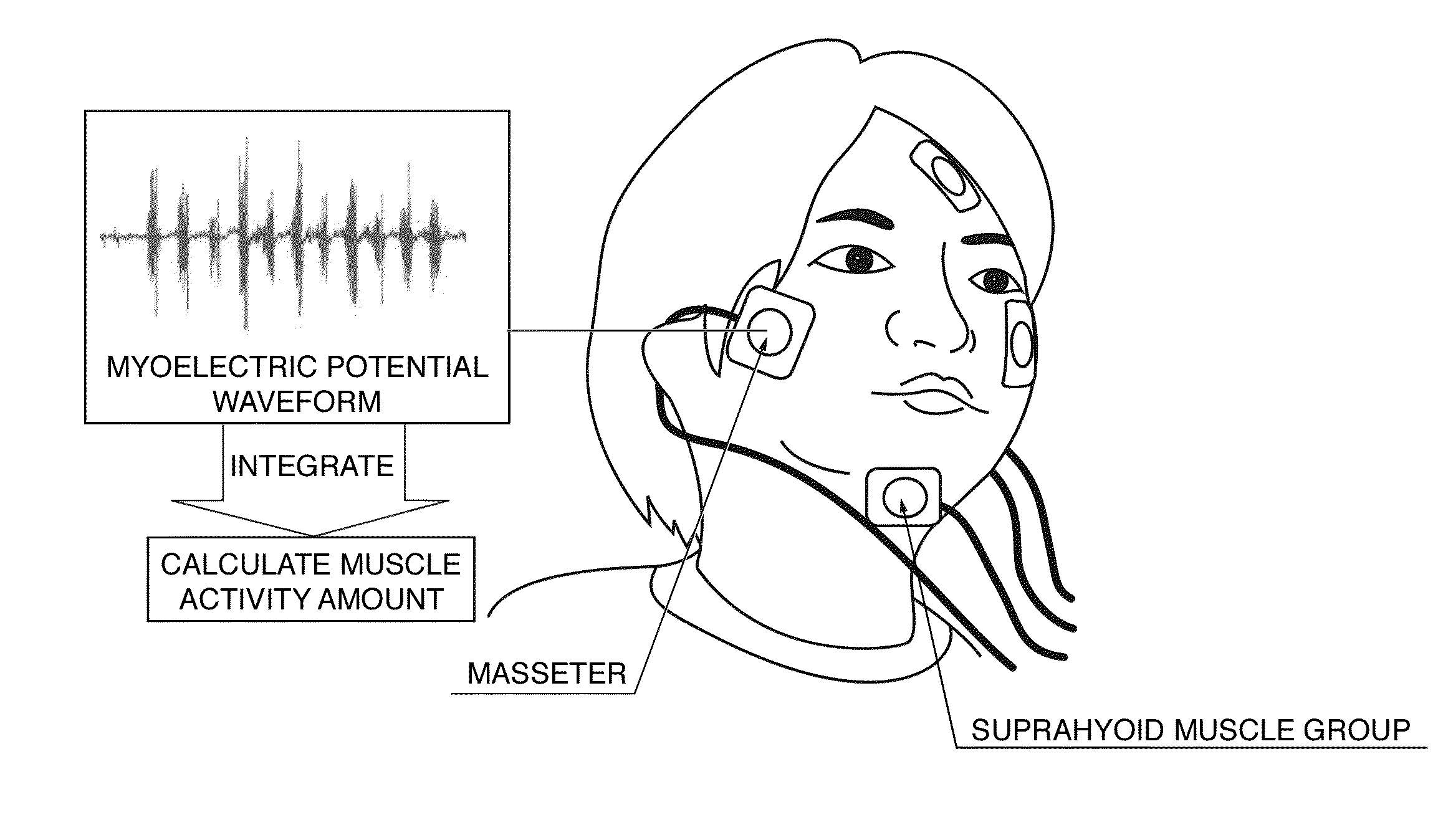 Food Product Development Assistance Apparatus, Food Product Development Method, Food Product Production Method, Dietary Education Assistance Apparatus, and Dietary Education Method