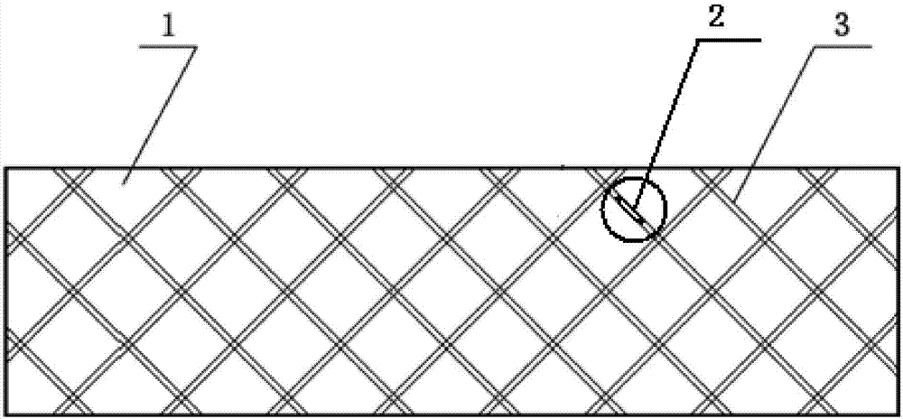 Radioactive particle stent used for radiotherapy in cavity tumor