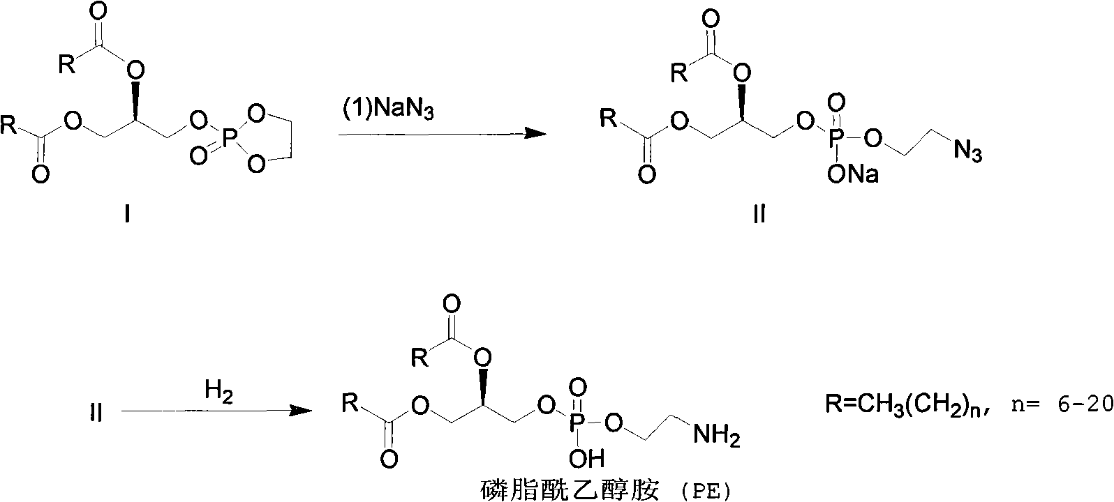 Method for synthesizing PE (Phosphatidyl Ethanolamine)