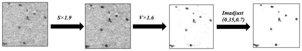 Method for measuring solid particle residence time distribution in fluidized bed based on image recognition principle and test bed thereof