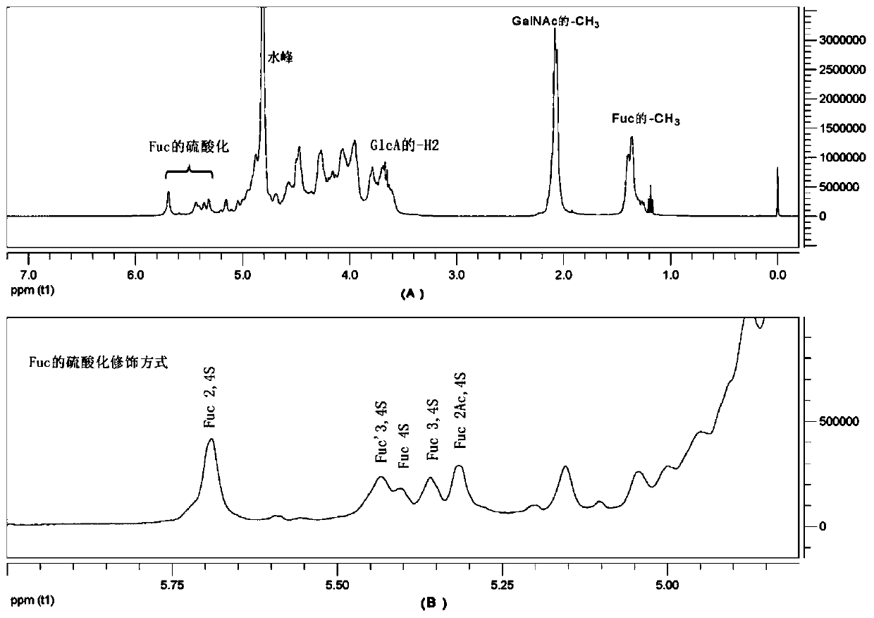 Low-molecular sea cucumber glycosaminoglycan and application thereof