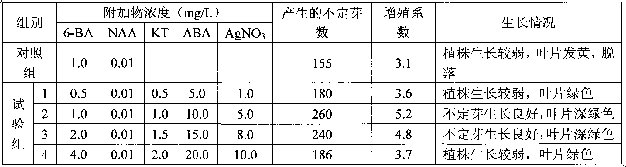 Method for overcoming yellowing of leaves of tissue culture seedlings of Rosa damascena