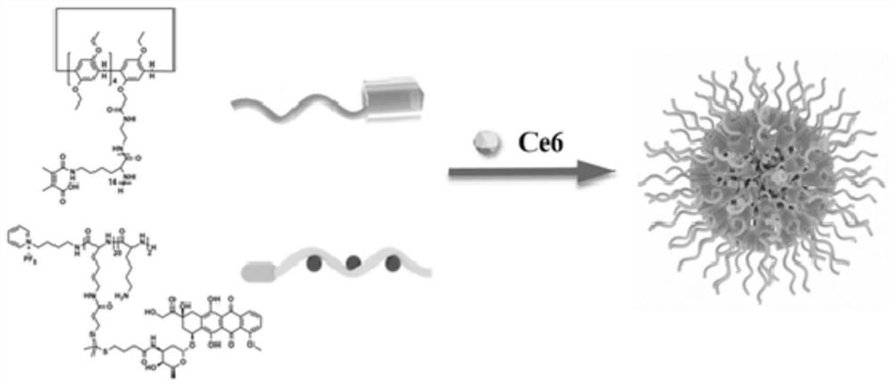 Charge reversal type supramolecular polypeptide prodrug nanoparticles as well as preparation method and application thereof