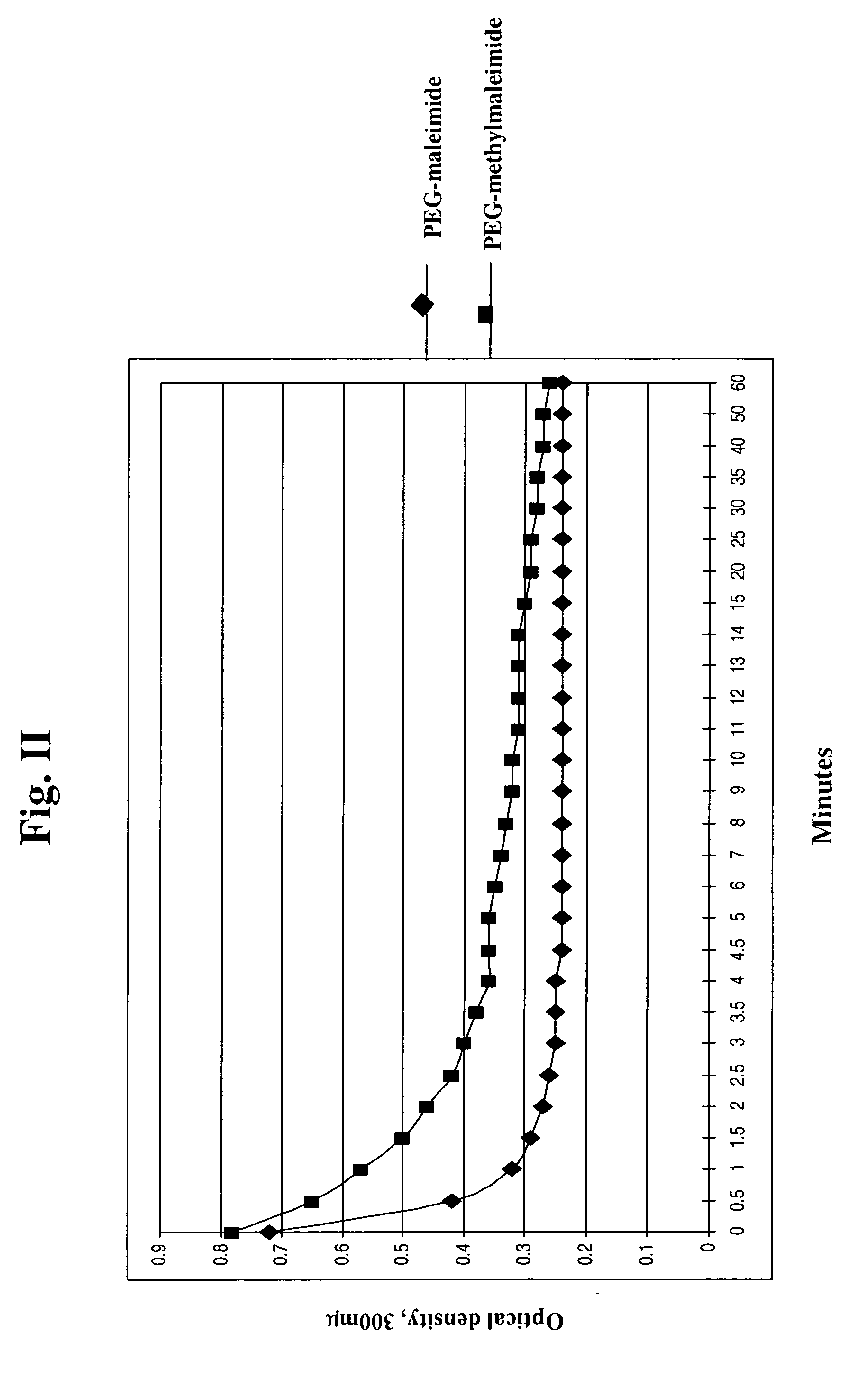 Methylmaleimidyl polymer derivatives