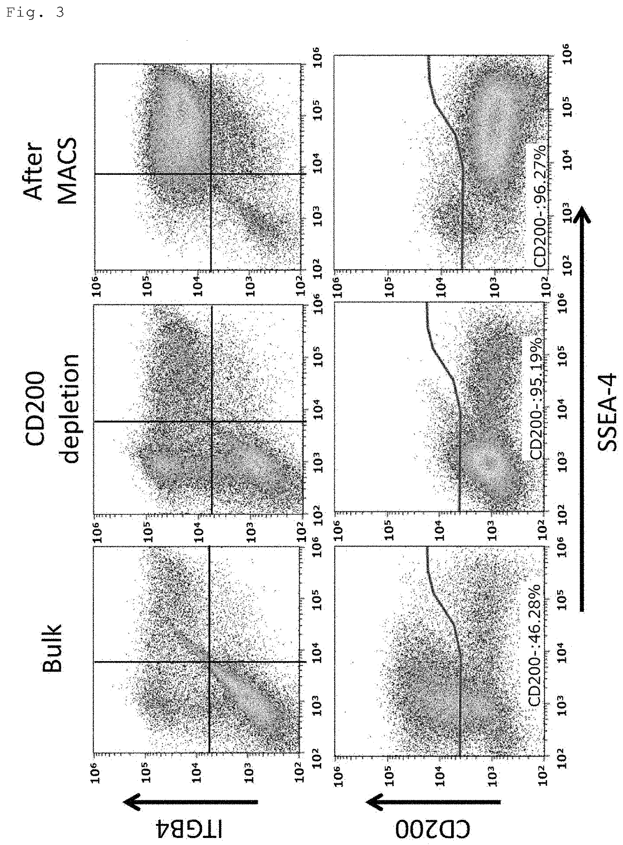 Method for producing a corneal epithelial cell population