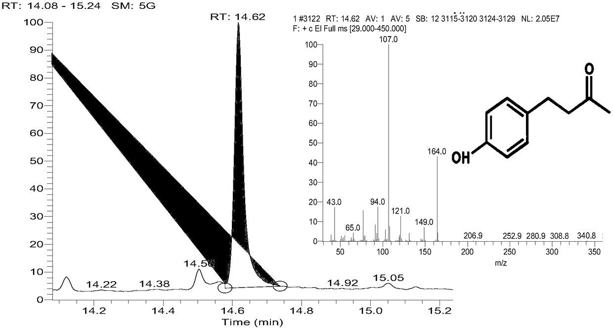 Method using biological method to prepare raspberry ketone