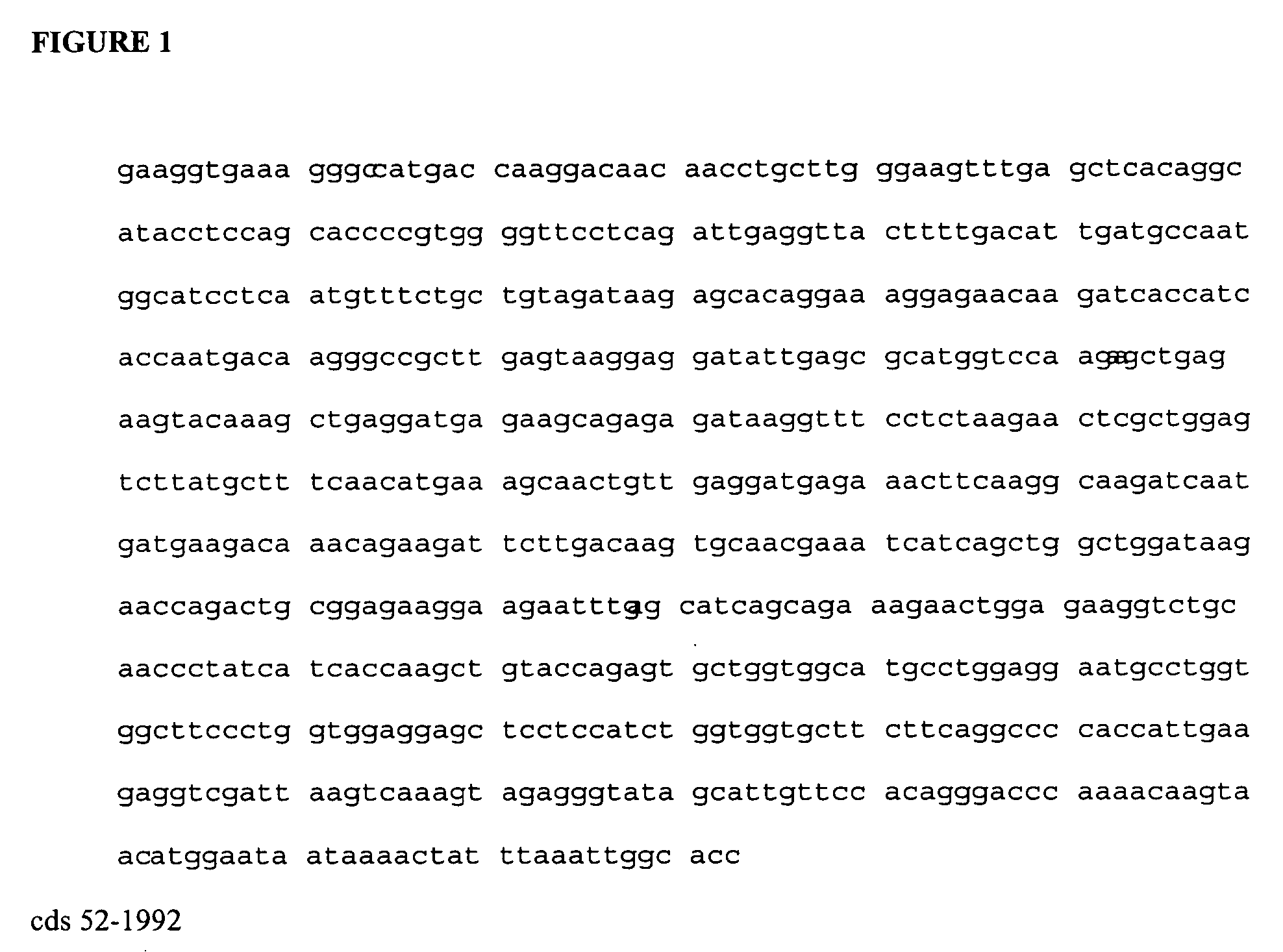 Methods and compositions for the treatment of glaucoma and other retinal diseases