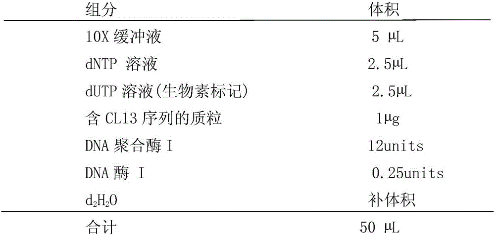 Two black mustard genomes DNA sequence and application thereof