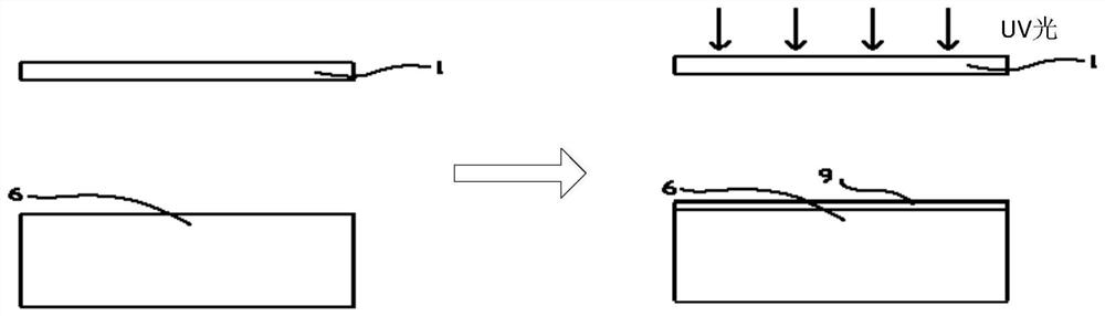 Device for detecting and removing foreign matter in exposure machine and exposure machine