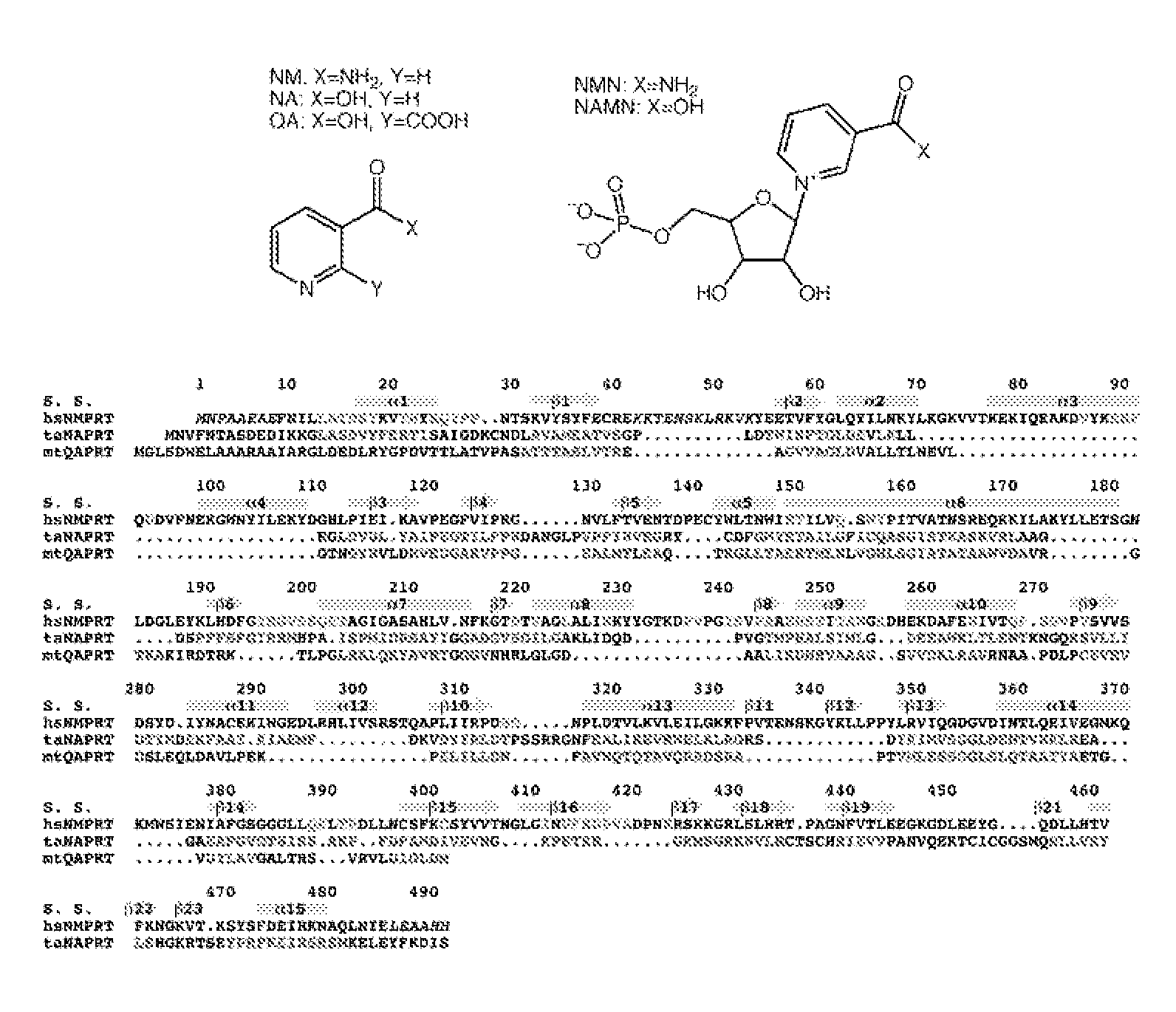 Crystalline visfatin and methods therefor