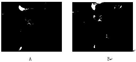 Composite water-soluble temporary plugging agent for oilfield steering fracturing construction