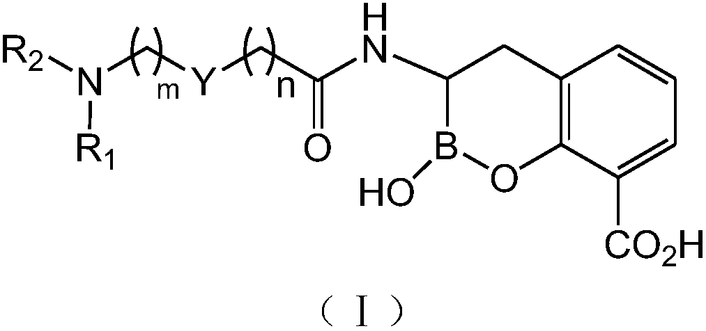 Novel broad-spectrum β-lactamase inhibitors