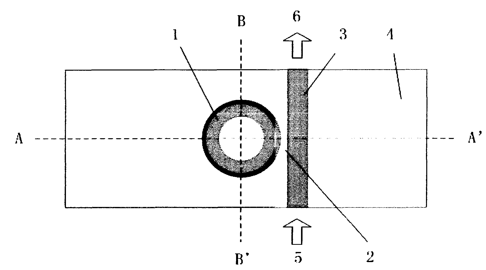 Optical waveguide immunosensor and detection method thereof