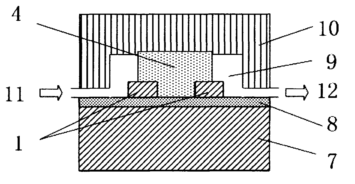 Optical waveguide immunosensor and detection method thereof