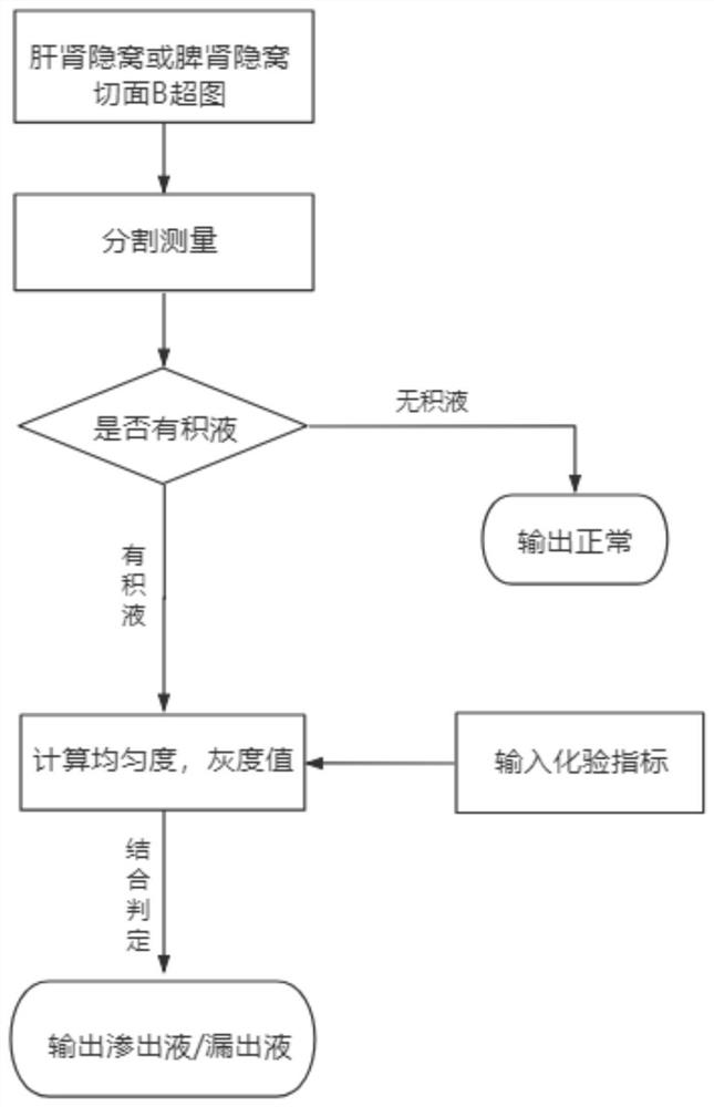 Automatic identification method for seroperitoneum B-mode ultrasound image