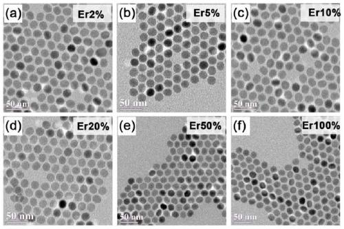 Rare earth up-conversion nano-diagnosis and treatment agent and preparation method thereof