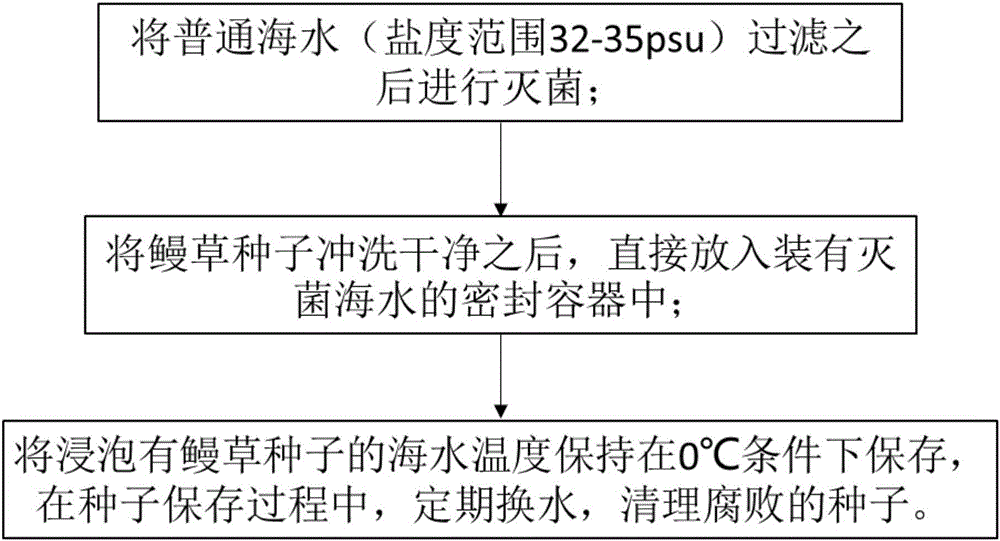 Method for prolonging preservation time of eelgrass seeds