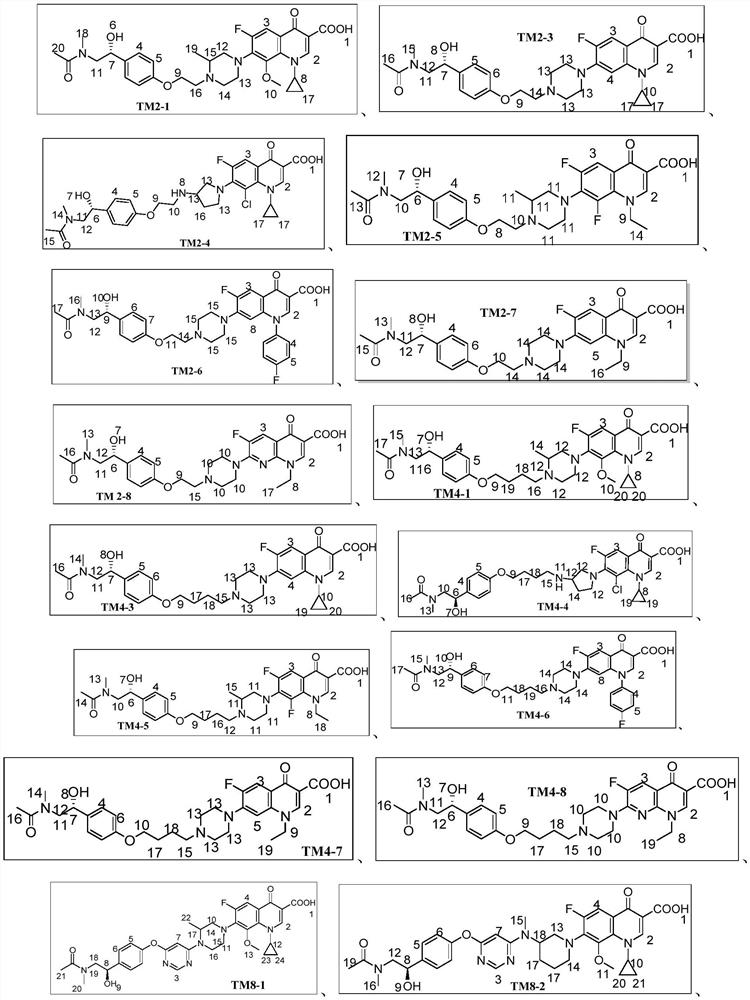 Synephrine fluoroquinolone derivatives as well as preparation method and application thereof