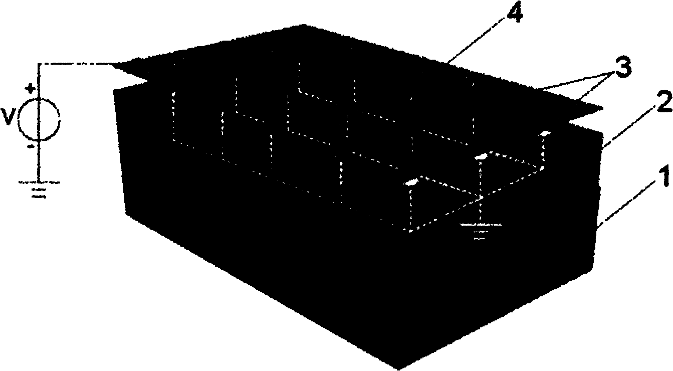 Array of graphene-based nano-scale point sources