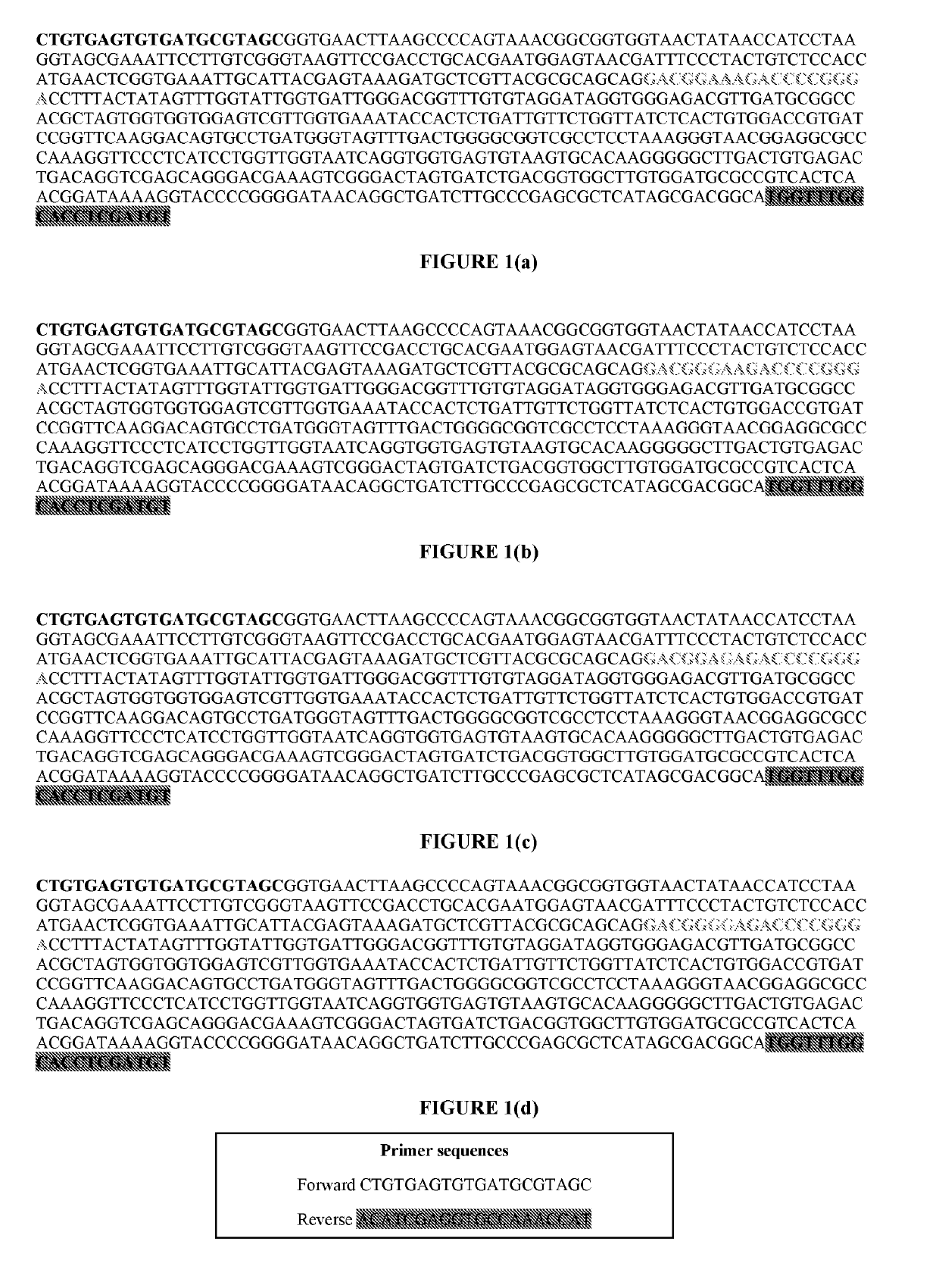 Method of detecting and treating p. acnes and kit thereof