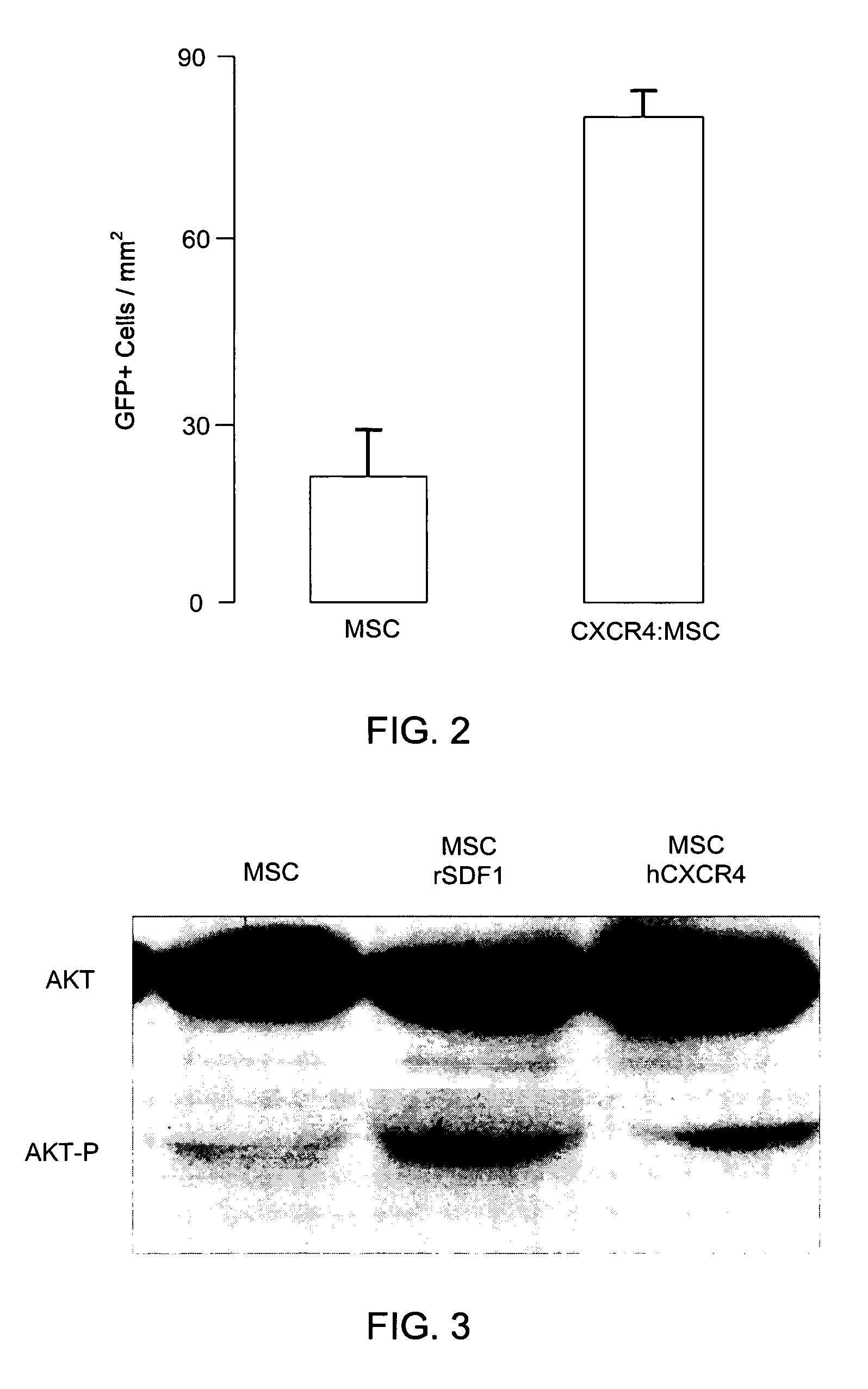 Genetically engineered cells for therapeutic applications