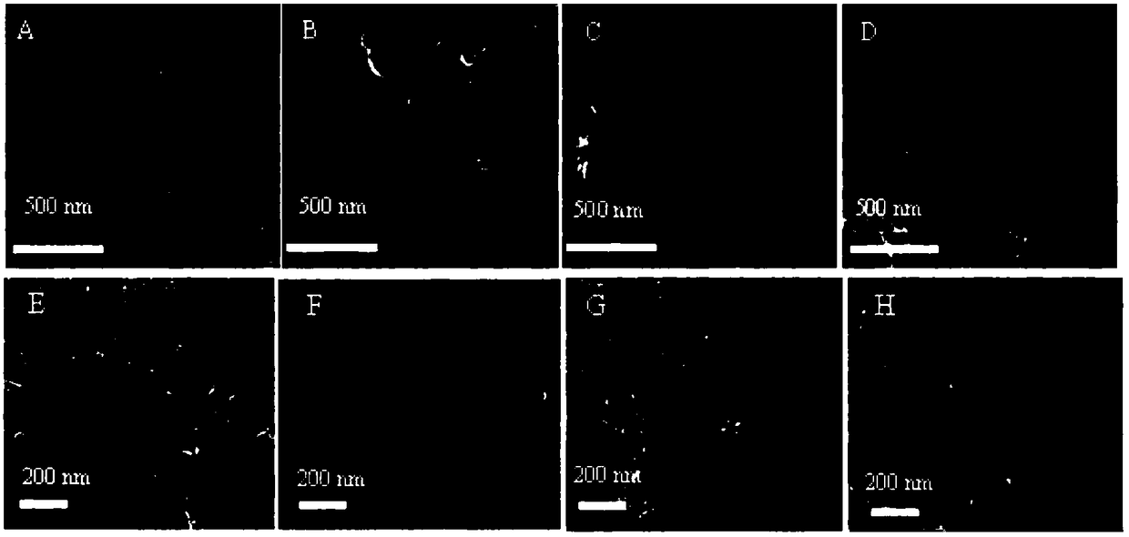 Preparation of fe-n-c mesoporous carbon materials and their application in oxygen reduction reaction