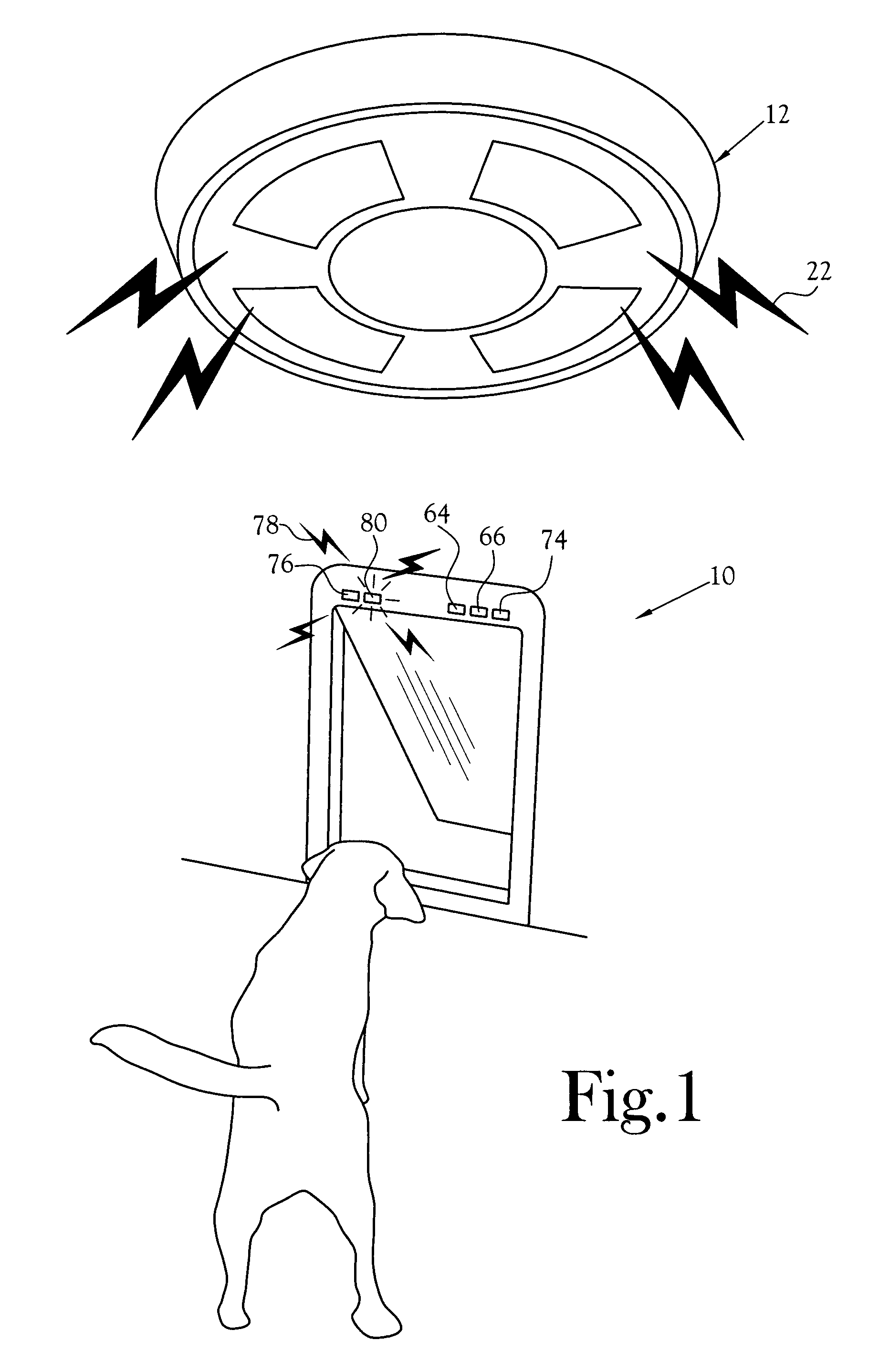 Alarm actuated pet door lock release mechanism