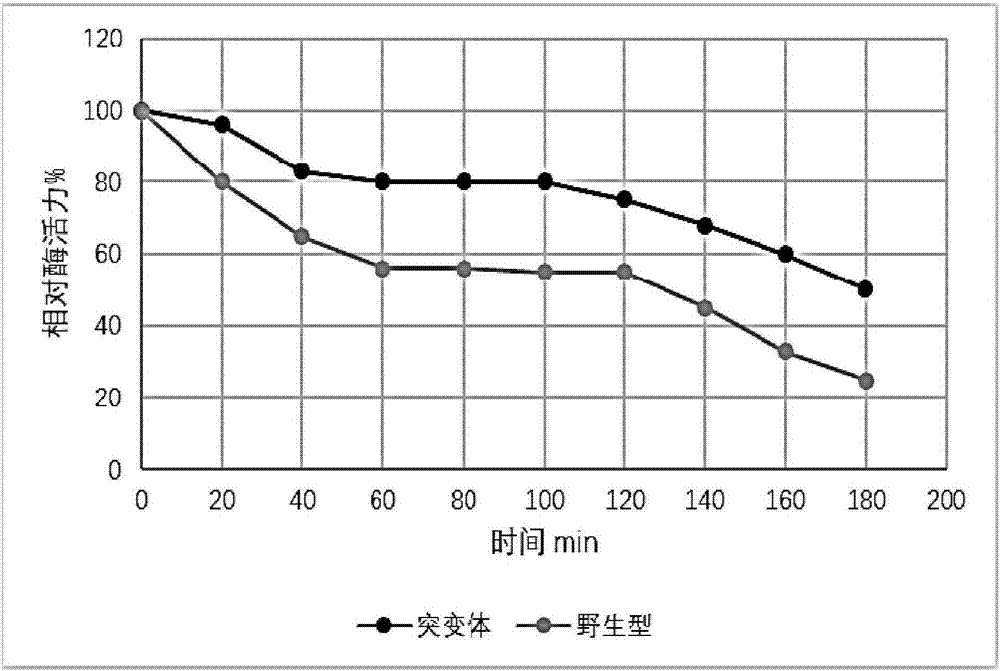 Site directed mutational mannose and application thereof