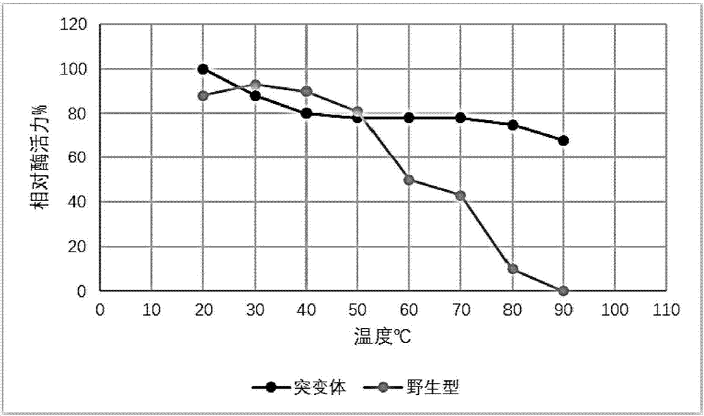 Site directed mutational mannose and application thereof