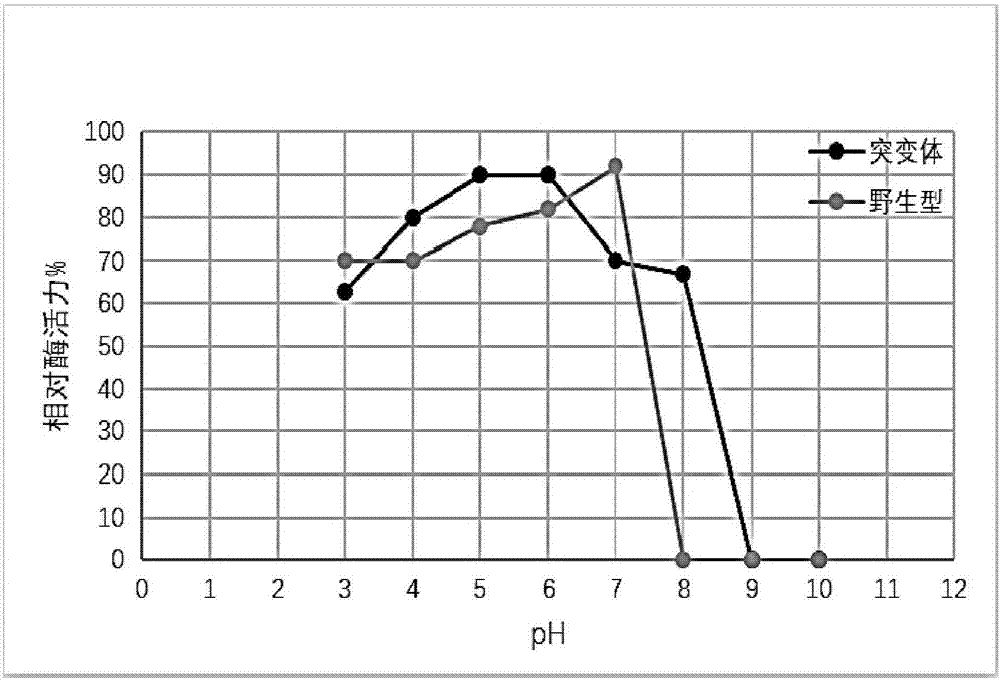 Site directed mutational mannose and application thereof