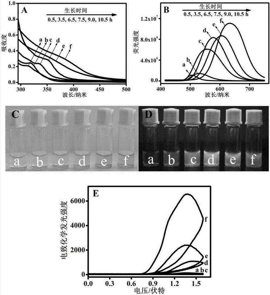 Electrochemiluminescence material and one-pot preparation method and application thereof