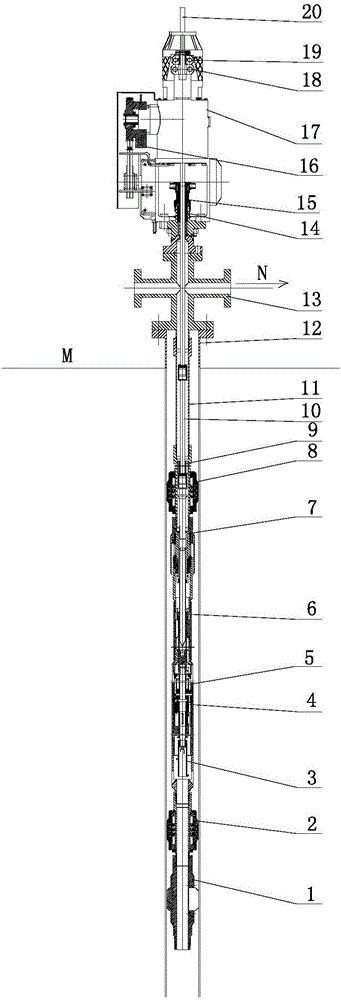 Lifting device for petroleum production vane pump of petroleum well