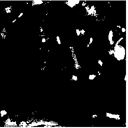 Overall situation reconstitution optimization model construction method for image block compressed sensing