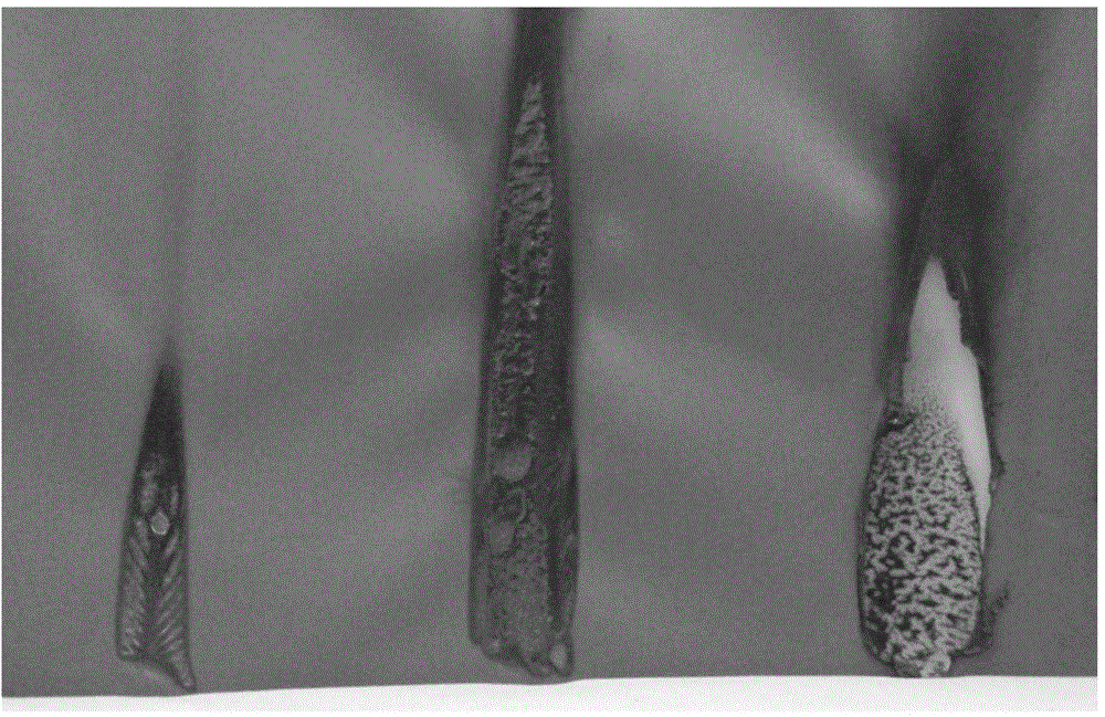 Water-based flame-retardant coating adhesive and preparation method thereof